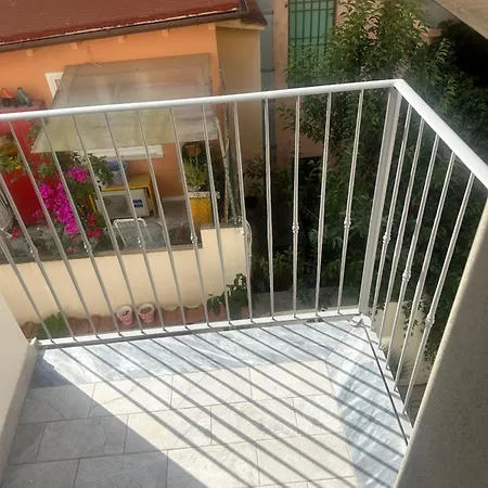 Marzocco 5